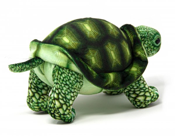 Cornelissen - Kuscheltier - Landschildkröte grün - 20 cm