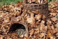 Igelkorb - Nest für Igel aus Weidenzweigen