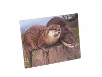 3D Magnet Otter