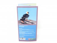 Bestimmungskarte - Alpenvögel