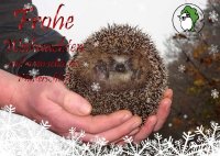 Wildtier- & Artenschutzstation Sachsenhagen Weihnachtspostkarten unserer Schützlinge