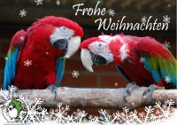 Wildtier- & Artenschutzstation Sachsenhagen Weihnachtspostkarten unserer Schützlinge